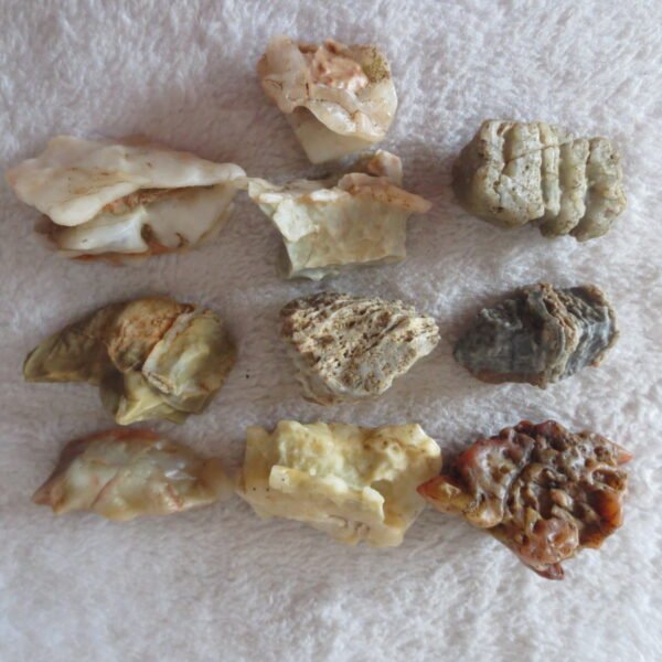 gobi desert raw rough stones natural mountain gobi rocks specimen for table decor. (p54)