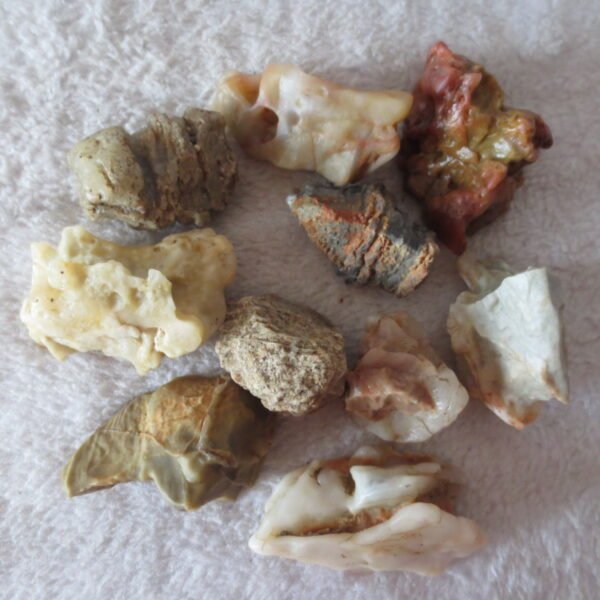 gobi desert raw rough stones natural mountain gobi rocks specimen for table decor. (p54)