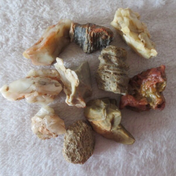 gobi desert raw rough stones natural mountain gobi rocks specimen for table decor. (p54)