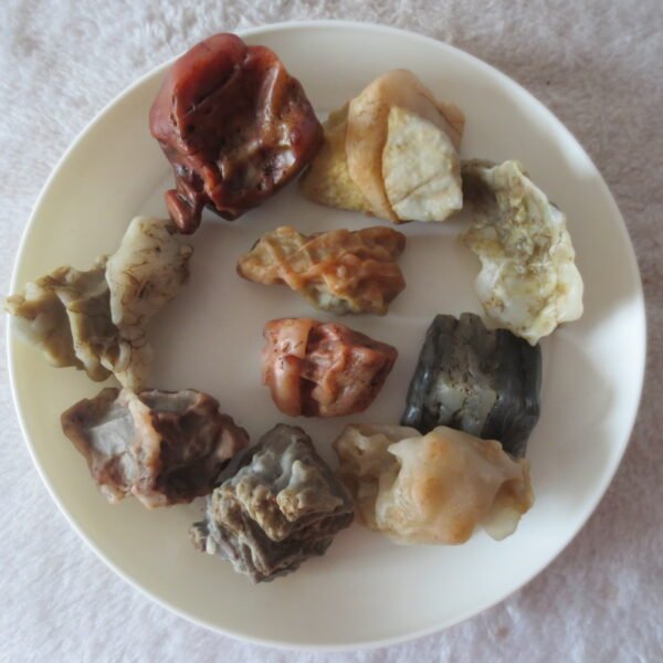 gobi desert raw rough stones natural mountain gobi rocks specimen for table decor. (p55)