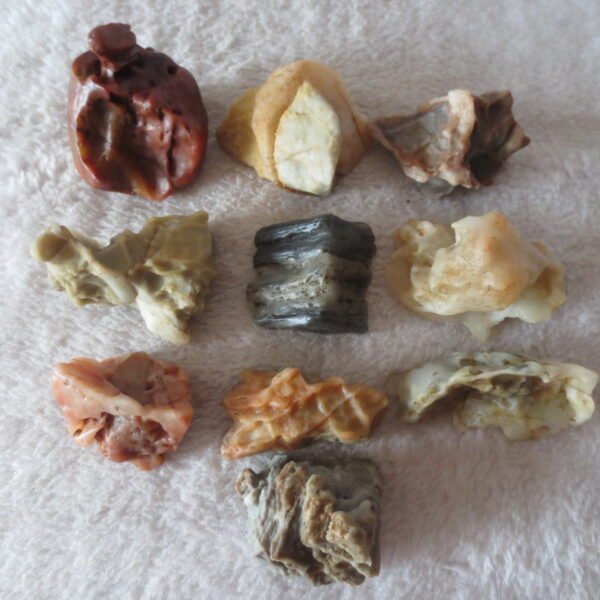 gobi desert raw rough stones natural mountain gobi rocks specimen for table decor. (p55)