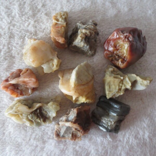 gobi desert raw rough stones natural mountain gobi rocks specimen for table decor. (p55)