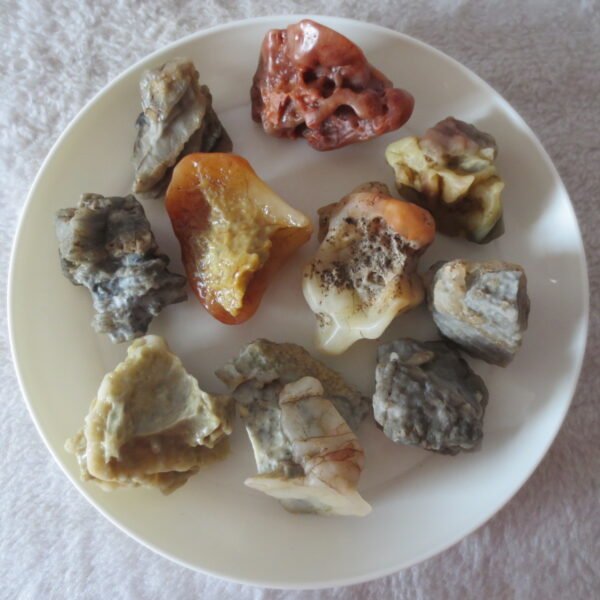 gobi desert raw rough stones natural mountain gobi rocks specimen for table decor. (p56)