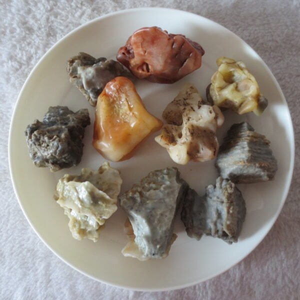 gobi desert raw rough stones natural mountain gobi rocks specimen for table decor. (p56)