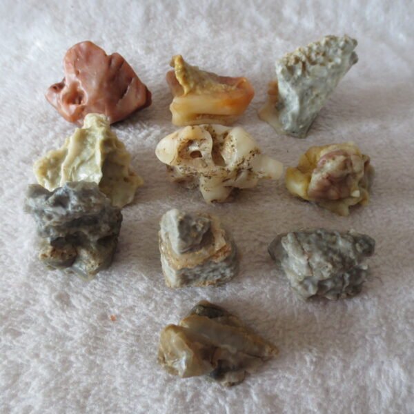 gobi desert raw rough stones natural mountain gobi rocks specimen for table decor. (p56)