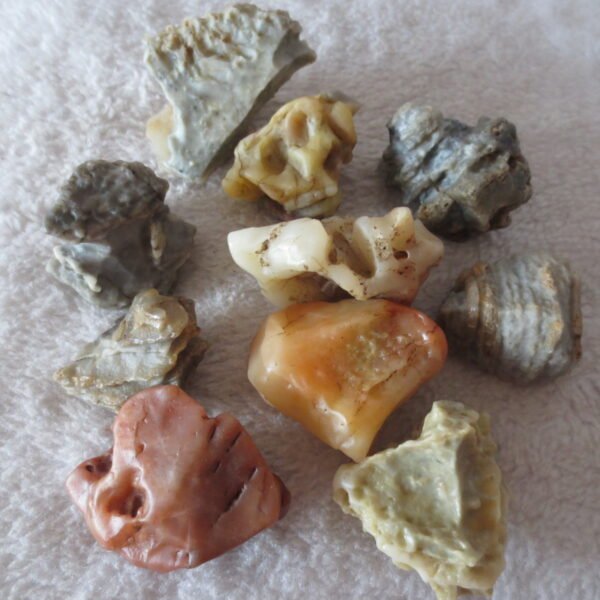 gobi desert raw rough stones natural mountain gobi rocks specimen for table decor. (p56)