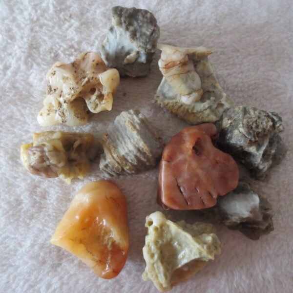 gobi desert raw rough stones natural mountain gobi rocks specimen for table decor. (p56)