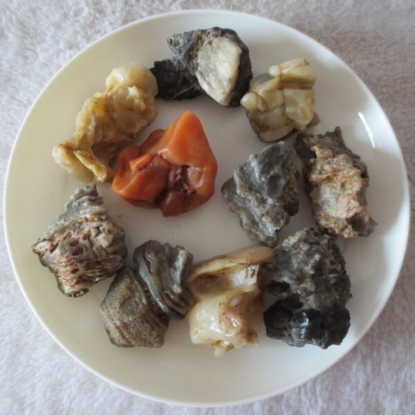 gobi desert raw rough stones natural mountain gobi rocks specimen for table decor. (p57)