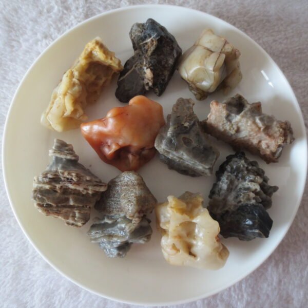 gobi desert raw rough stones natural mountain gobi rocks specimen for table decor. (p57)