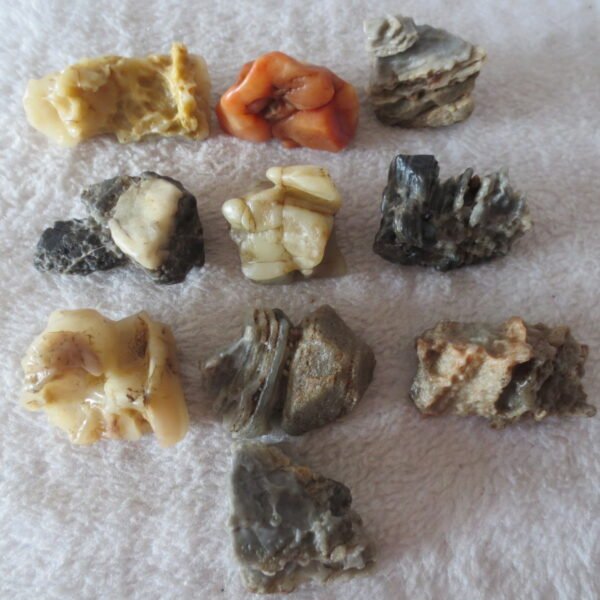 gobi desert raw rough stones natural mountain gobi rocks specimen for table decor. (p57)
