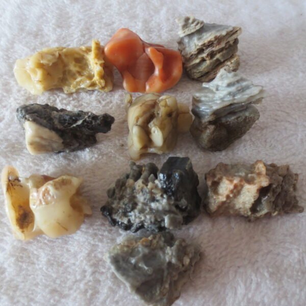 gobi desert raw rough stones natural mountain gobi rocks specimen for table decor. (p57)