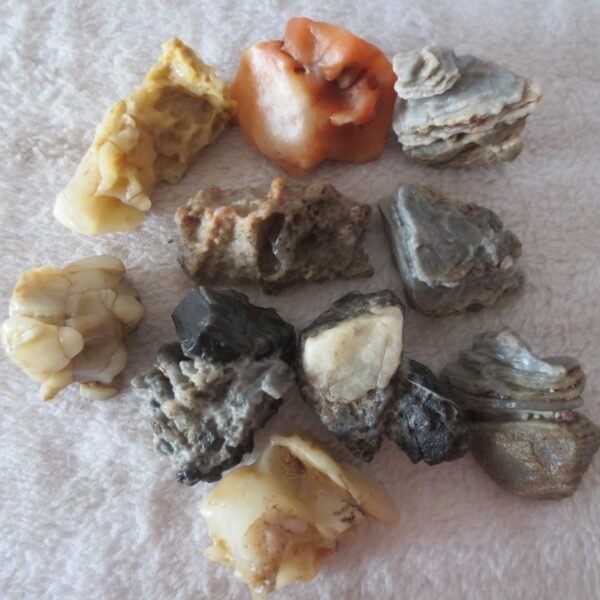 gobi desert raw rough stones natural mountain gobi rocks specimen for table decor. (p57)