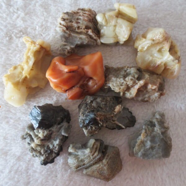gobi desert raw rough stones natural mountain gobi rocks specimen for table decor. (p57)