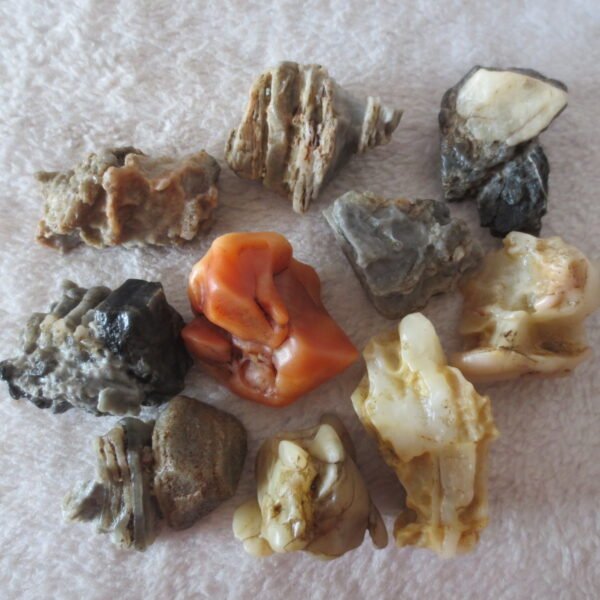 gobi desert raw rough stones natural mountain gobi rocks specimen for table decor. (p57)