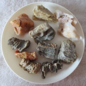 gobi desert raw rough stones natural mountain gobi rocks specimen for table decor. (p60)