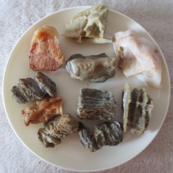 gobi desert raw rough stones natural mountain gobi rocks specimen for table decor. (p60)