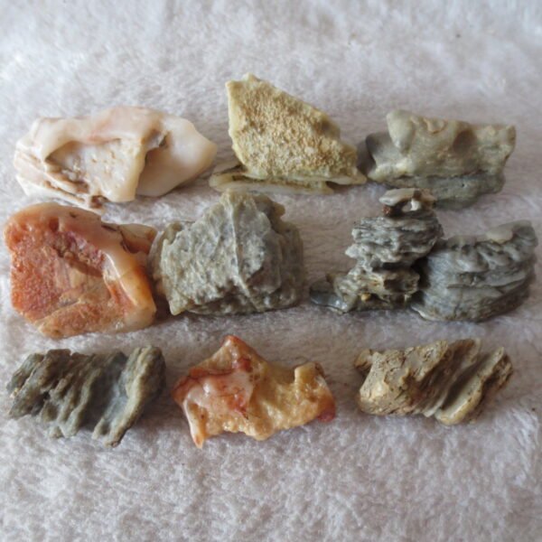 gobi desert raw rough stones natural mountain gobi rocks specimen for table decor. (p60)