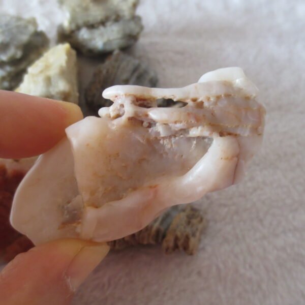 gobi desert raw rough stones natural mountain gobi rocks specimen for table decor. (p60)