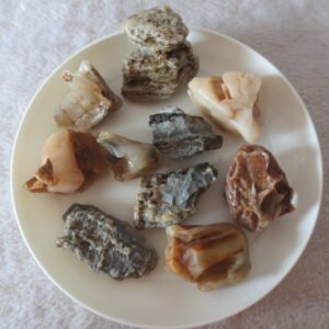 gobi desert raw rough stones natural mountain gobi rocks specimen for table decor. (p60) (copy)