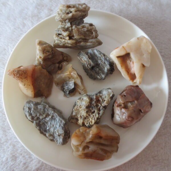 gobi desert raw rough stones natural mountain gobi rocks specimen for table decor. (p60) (copy)