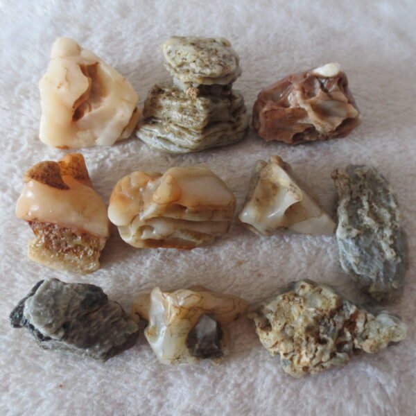 gobi desert raw rough stones natural mountain gobi rocks specimen for table decor. (p61)