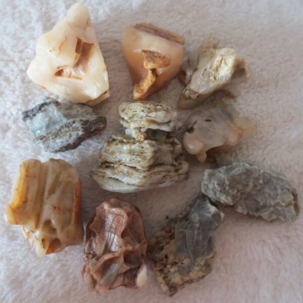 gobi desert raw rough stones natural mountain gobi rocks specimen for table decor. (p61)