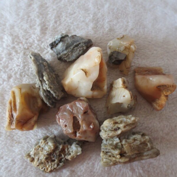 gobi desert raw rough stones natural mountain gobi rocks specimen for table decor. (p61)