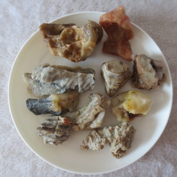 gobi desert raw rough stones natural mountain gobi rocks specimen for table decor. (p61) (copy)