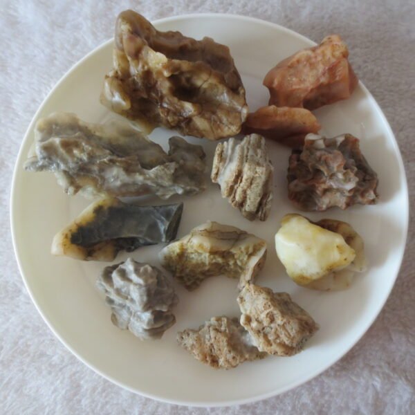 gobi desert raw rough stones natural mountain gobi rocks specimen for table decor. (p61) (copy)