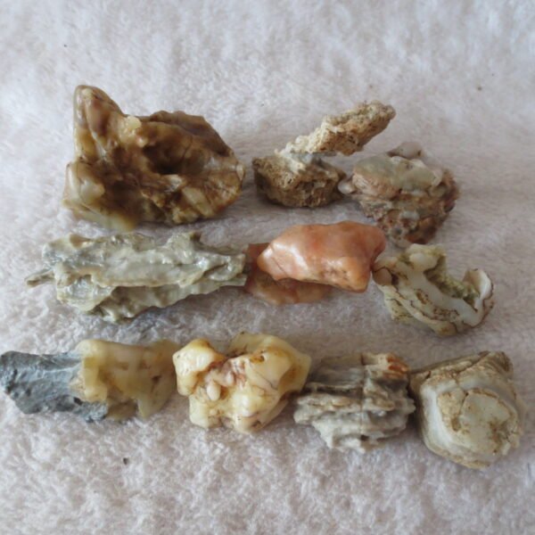 gobi desert raw rough stones natural mountain gobi rocks specimen for table decor. (p61) (copy)