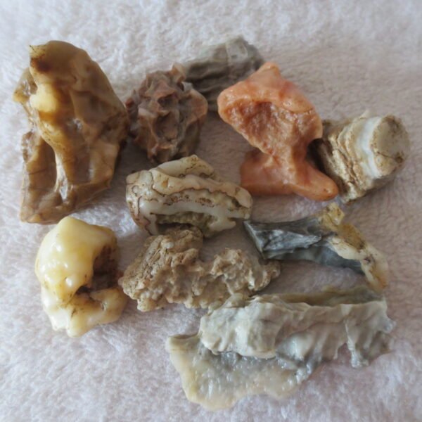 gobi desert raw rough stones natural mountain gobi rocks specimen for table decor. (p61) (copy)