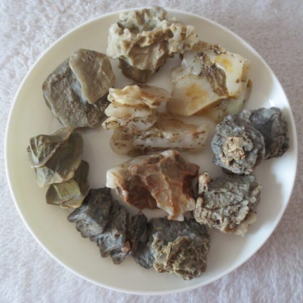 gobi desert raw rough stones natural mountain gobi rocks specimen for table decor. (p63)
