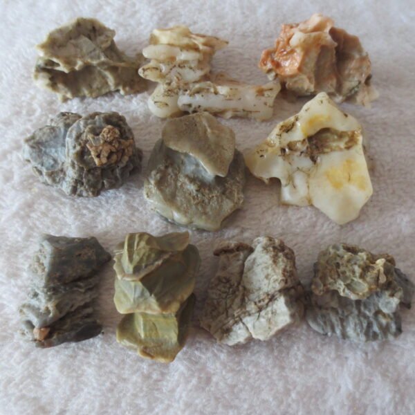 gobi desert raw rough stones natural mountain gobi rocks specimen for table decor. (p63)