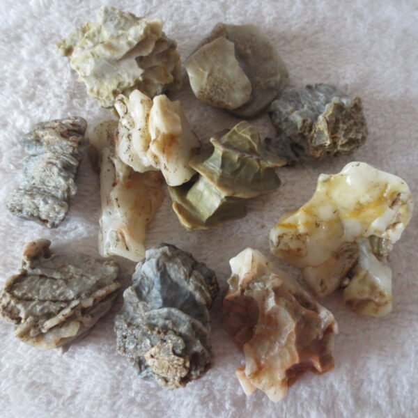 gobi desert raw rough stones natural mountain gobi rocks specimen for table decor. (p63)