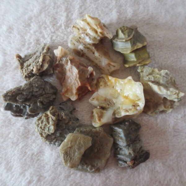 gobi desert raw rough stones natural mountain gobi rocks specimen for table decor. (p63)