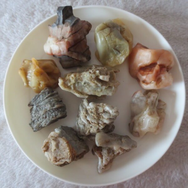 gobi desert raw rough stones natural mountain gobi rocks specimen for table decor. (p63) (copy)
