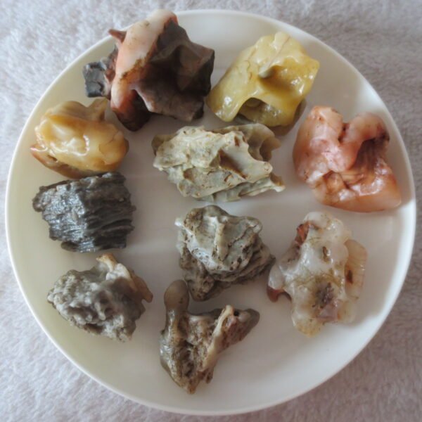 gobi desert raw rough stones natural mountain gobi rocks specimen for table decor. (p63) (copy)