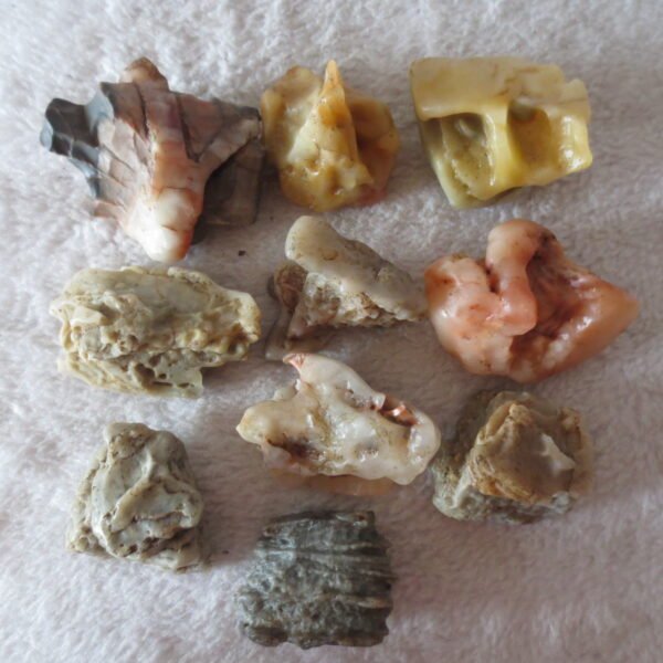 gobi desert raw rough stones natural mountain gobi rocks specimen for table decor. (p63) (copy)