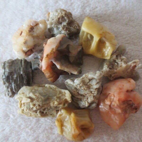 gobi desert raw rough stones natural mountain gobi rocks specimen for table decor. (p64)