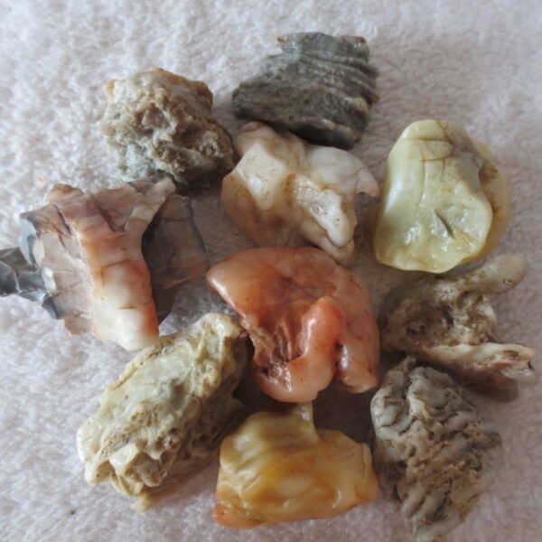 gobi desert raw rough stones natural mountain gobi rocks specimen for table decor. (p64)