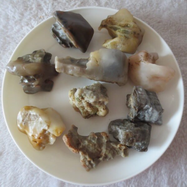 gobi desert raw rough stones natural mountain gobi rocks specimen for table decor. (p65)