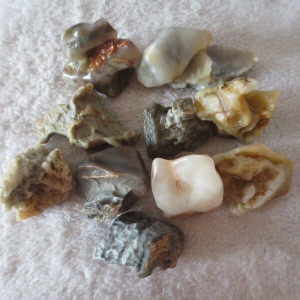 gobi desert raw rough stones natural mountain gobi rocks specimen for table decor. (p65)