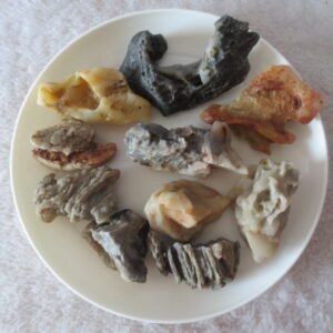 gobi desert raw rough stones natural mountain gobi rocks specimen for table decor. (p65) (copy)