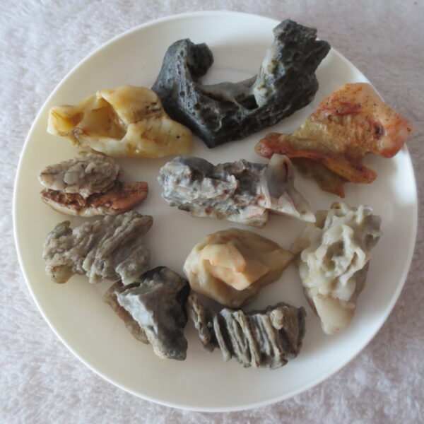 gobi desert raw rough stones natural mountain gobi rocks specimen for table decor. (p65) (copy)