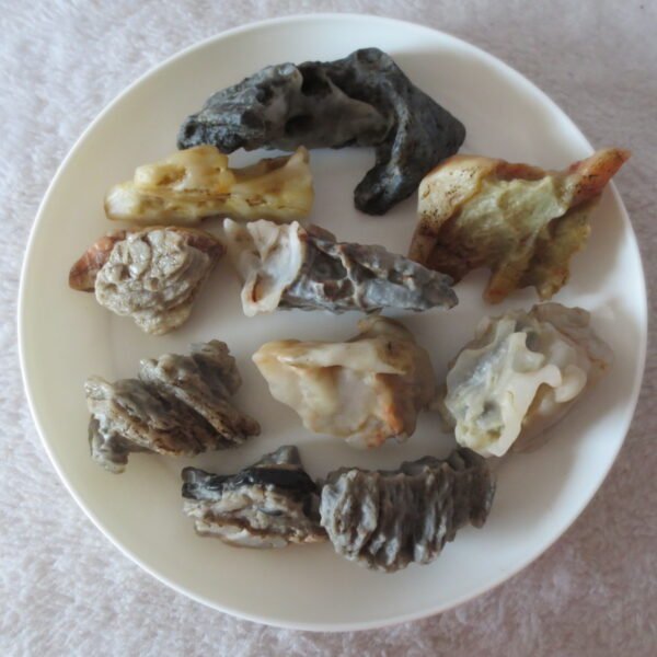 gobi desert raw rough stones natural mountain gobi rocks specimen for table decor. (p65) (copy)