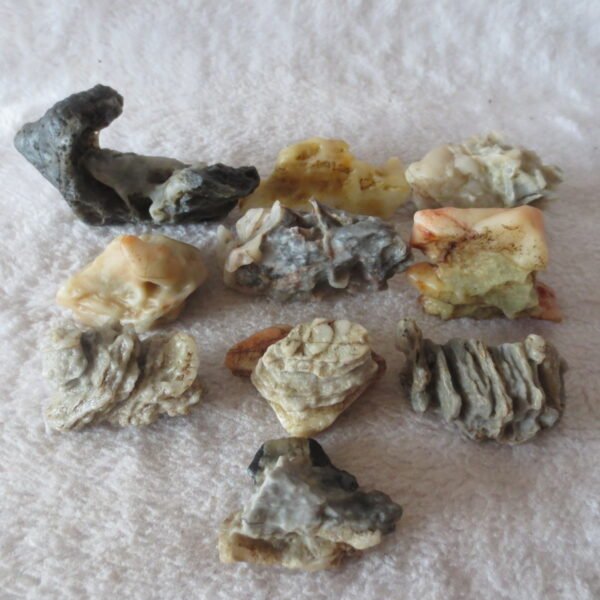 gobi desert raw rough stones natural mountain gobi rocks specimen for table decor. (p66)
