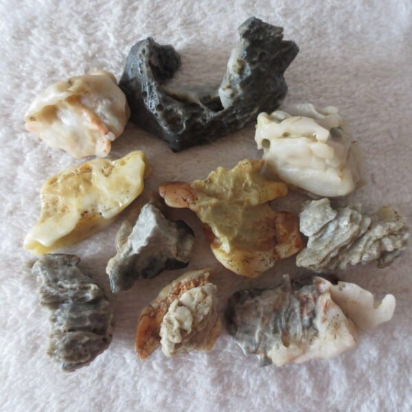 gobi desert raw rough stones natural mountain gobi rocks specimen for table decor. (p66)