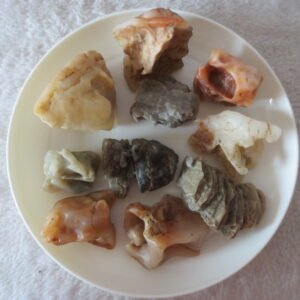 gobi desert raw rough stones natural mountain gobi rocks specimen for table decor. (p67)