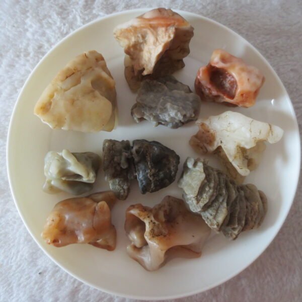 gobi desert raw rough stones natural mountain gobi rocks specimen for table decor. (p67)
