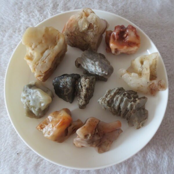 gobi desert raw rough stones natural mountain gobi rocks specimen for table decor. (p67)